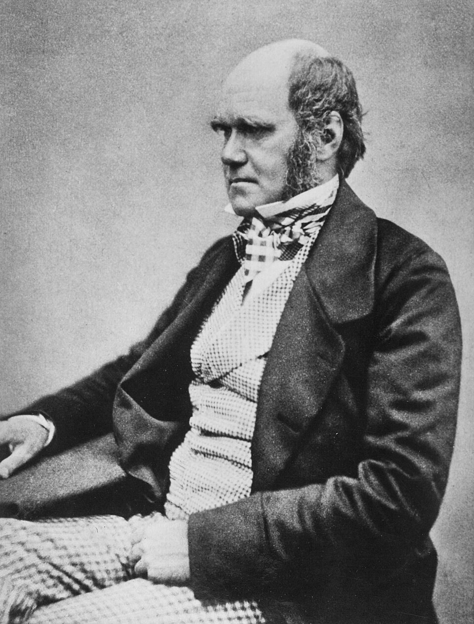 Fotografia autora Charles Darwin